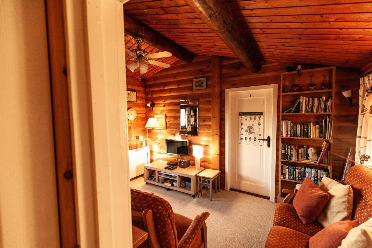 Rustic Log Cabin In Snowdonia By Seren Short Stays Trawsfynydd Extérieur photo